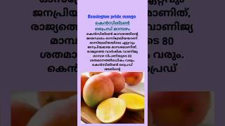 കൃഷി അറിവുകൾ | Manga krishi | Mango farming #shorts