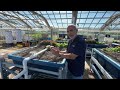 Bacteria are the Aquaponics Engine