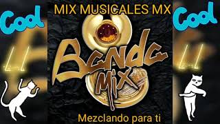 Banda Mix Cumbias