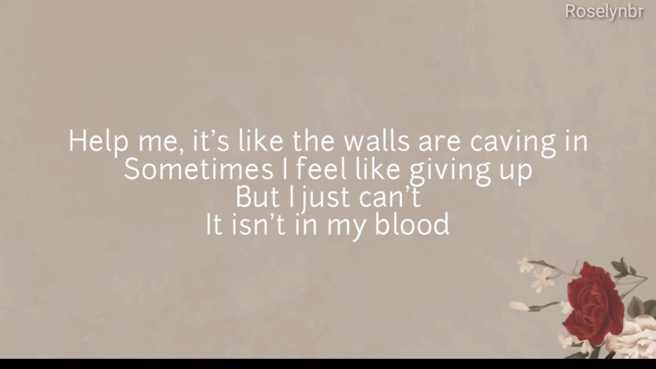 Shawn Mendes In My Blood Lyrics Youtube Music