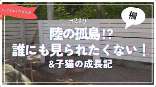 ［DIY］柵で囲って陸の孤島!?［車検を倹約］バッテリー交換＆子猫の成長記［vol.210］