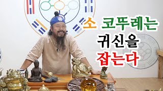 [유교약사생불사 336강] 소 코뚜레만 있으면 집안으로 들어오는 잡귀를 잡을 수 있다