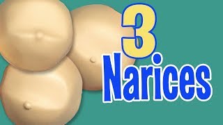 3 noses types for your fofuchas