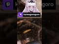 i d feed you to my son kumogorogoro on twitch