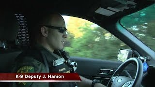 Sheriffs: El Dorado County