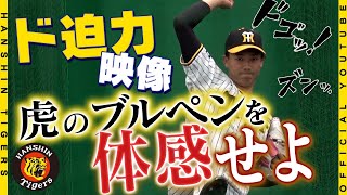 【ド迫力】キャンプの醍醐味といえばブルペン！あらゆる角度から撮影した映像で虎のブルペンを体感してください！