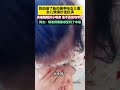 妈妈做了新的美甲给女儿看，女儿情绪价值拉满，网友：隔着屏幕都感受到了幸福