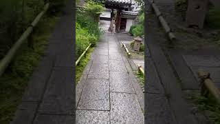 京都旅行初日9箇所目は宝蔵寺。髑髏の御朱印が有名。Hozoji Temple #shorts #京都旅行 #宝蔵寺 #京都 #観光 #京都市 #京都府 #御朱印 #髑髏 #アニマルプラントチャンネル