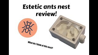 esthetic ants small mesh nest review