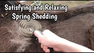 SATISFYING AND RELAXING HORSE SHEDDING ASMR