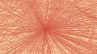 Data Art 1
