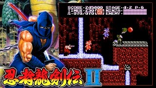 【FC】忍者龍剣伝II 暗黒の邪神剣 - Ninja Gaiden II - Playthrough