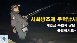 새만금 부럽지 않은  시화방조제 우럭낚시 심상치가 않네요! (24.05.08)