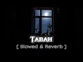 Tabah - Lofi (Slowed + Reverb) | Mohit Chauhan | @KSLo-fi15