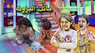 كلما نشتري بزونه تمووؤت