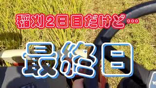 【2021田んぼ】３条刈は「猪木刈り」ダー！　　2021.10.10