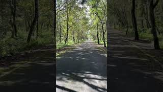 初秋biking 花蓮光復大農大富之南環大道#大農大富平地森林園區