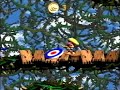 donkey kong country 2 102% walkthrough part 20 bramble blast