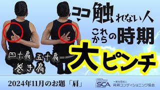 11月お題【四十肩・五十肩】冷えると傷めがち！肩の痛みを解決するセルフ矯正…hino method / sebone conditioning / spine conditioning