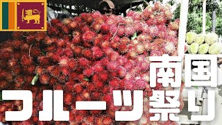 【スリランカ】南国フルーツ祭り！今が旬ドリアン・マンゴスチン・ランブータン♪買い出し編！