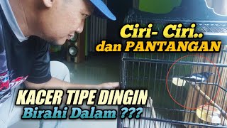 Ciri- Ciri Dan Pantangan KACER TIPE DINGIN BIRAHI DALAM