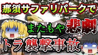 【ゆっくり解説】またもや那須サファリパークで事故！トラが飼育員3人を襲う。