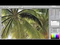 how to draw a palm tree in adobe illustrator