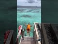 awesome 🔥🔥❤️ travel maldives honeymoon maledives vacation travelvlog indianocean shorts