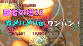 覇者の塔25 カメハメハα ボス1 友情ワンパン【モンスト】