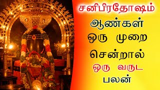 சனிப்பிரதோஷம் ஒரு முறை சென்றால் ஒரு வருட பலன் | Powerful Lord Shiva Special Day