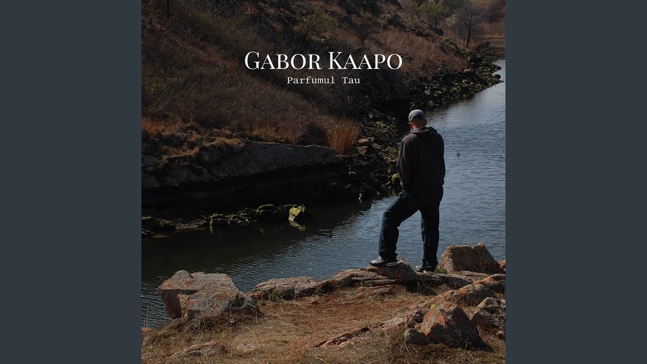 Tovbe De Youtube Music