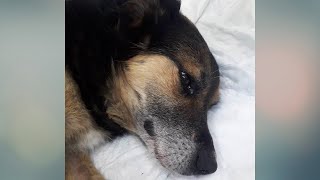 He cried thinking about what he went through, why did they do it