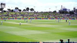 Amazing Bay Oval cricket ground