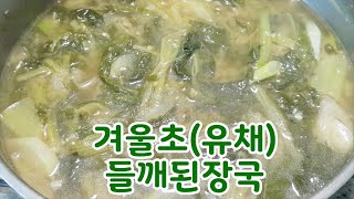 겨울초(유채) 들깨된장국~연하고 부드러운 겨울초 된장국,표고가루와 들깨가루로 보양하세요 (부산아지매레시피)