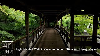 Light Rainfall Walk in Japanese garden \