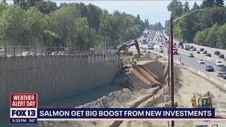 Funding going in to fish passages | FOX 13 Seattle