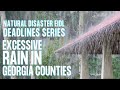 EIDL Loans for 2021 Georgia Rains