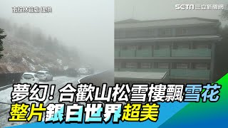 夢幻！合歡山又降雪「松雪樓飄雪花」整片銀白世界超美│政常發揮