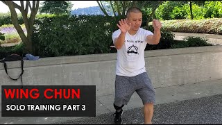 Solo Training Drills Part 3 - Wing Chun, Kung Fu Report - Adam Chan