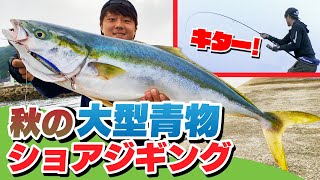 秋の大型青物ショアジギング！トップの聖地でもジグで釣りたい！