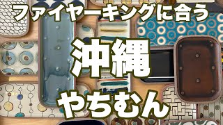 沖縄で作家さんから直接買い付けたお皿を開封！