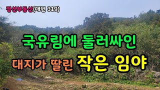 국유림에 둘러싸인 대지가 딸린 작은 임야 / 정선토지박사