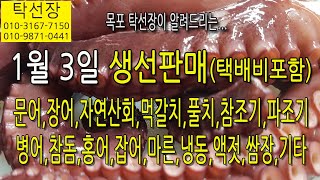 1월 3일, 문어, 장어, 자연산회, 먹갈치, 풀치, 참조기, 파조기, 병어, 참돔, 홍어, 잡어, 맛(탁선장 목포 남도농수산 010 3167 7150. 010 9871 0441)