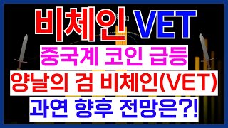 비체인 중국계 코인 비체인(VET) 급등! 과연 향후 전망은!?