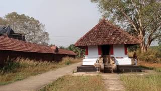 Panniyoor Temple പന്നിയൂർ വരാഹമൂർത്തി ക്ഷേത്രം ,  പെരുന്തച്ചൻ ശപിച്ചതാന് ഈ ക്ഷേത്രറം