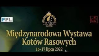 MIĘDZYNARODOWA WYSTAWA KOTÓW RASOWYCH | CIESZYN | 16.07.2022