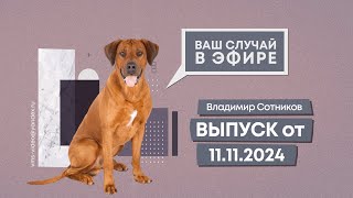 Ваш случай в эфире. Выпуск от 11.11.2024