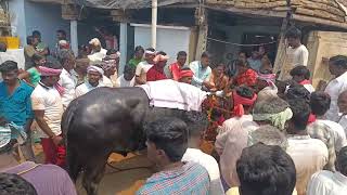 mandaluru peddamma thalli devara