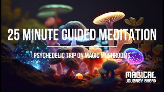 25 min Guided Magic Mushroom Trip I Find Tranquillity and Prepare for Psychodelic Wonders