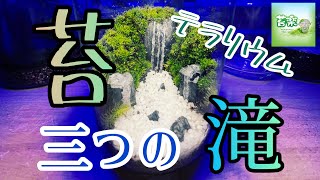 ３つの滝のある沢の風景【苔テラリウム制作】